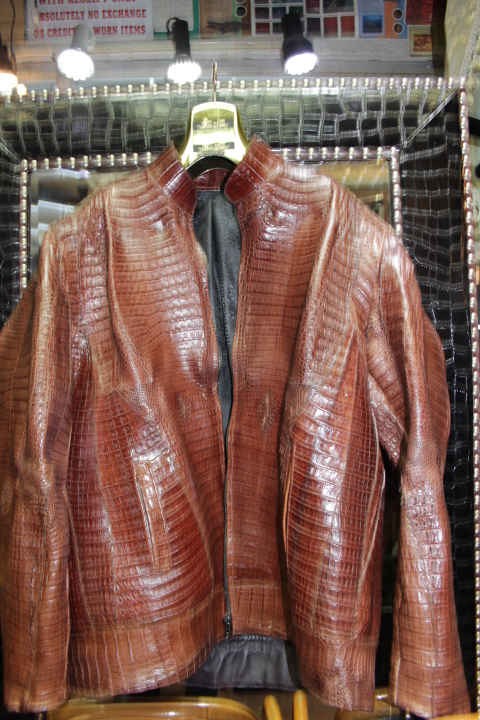 Crocodile Leather Jacket For Women, Brown 